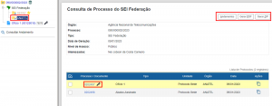 Consultar processo sei federação.png