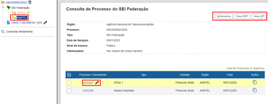 Consultar processo sei federação.png