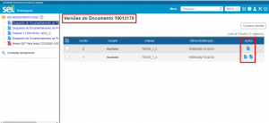 Consultar versões documentos.png